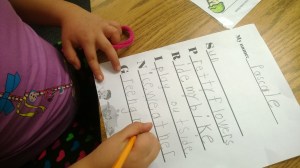 TheCreativeLibrarian2014 (10)