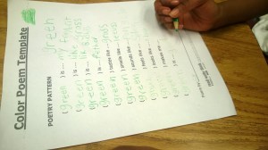 TheCreativeLibrarian2014 (9)