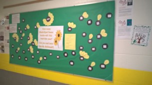 wp_20161011_12_26_00_pro